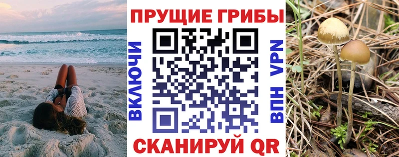 Псилоцибиновые грибы Magic Shrooms Верея