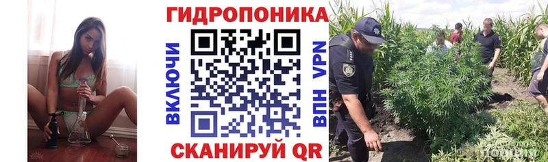 магазин продажи   Верея  Бошки марихуана Bruce Banner 